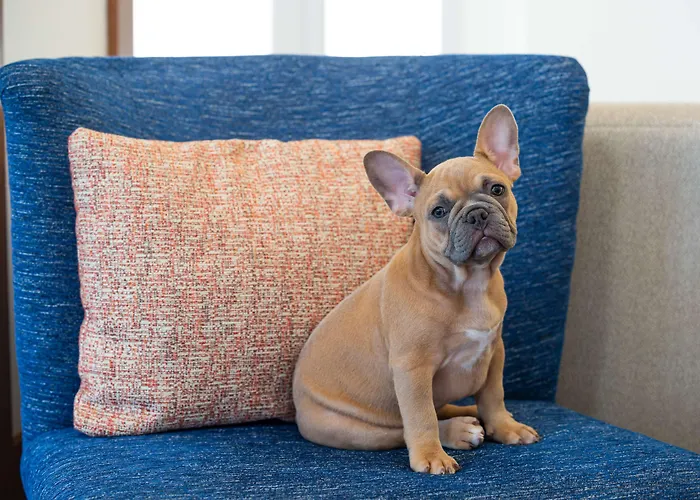 Hilton Garden Inn - Salt Lake City Airport